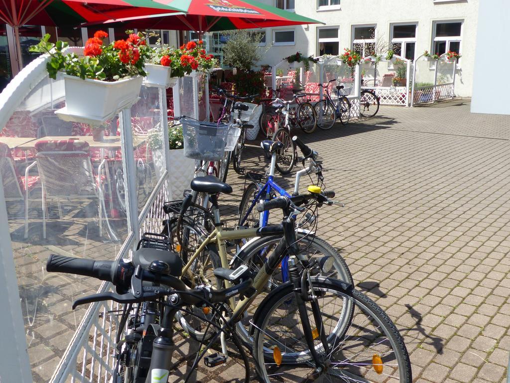 Hotel Dorotheenhof كوتبوس المظهر الخارجي الصورة