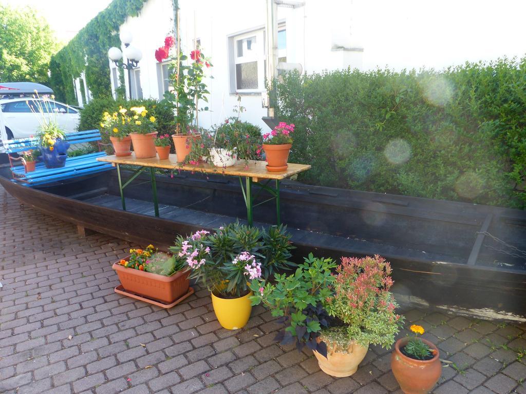 Hotel Dorotheenhof كوتبوس المظهر الخارجي الصورة